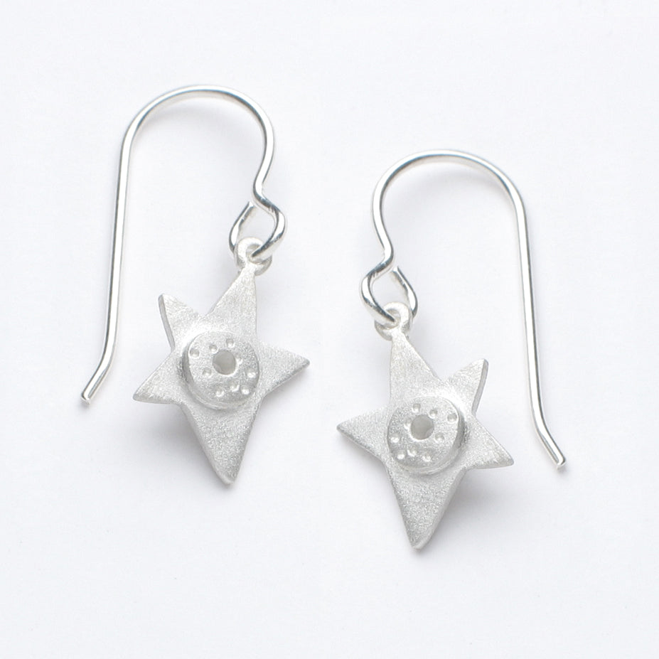 small star earrings